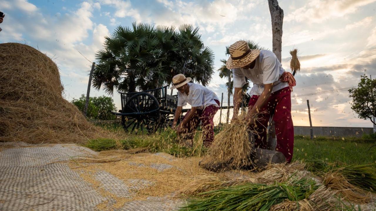 Hotel Mane Hariharalaya Siem Reap Zewnętrze zdjęcie